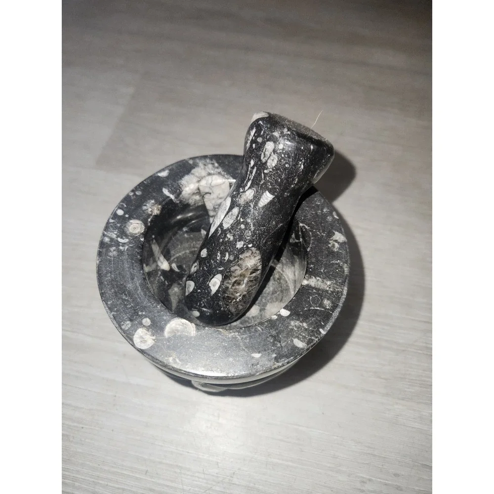 Orthoceras Fossil Mortar and Pestle Set Hand Carved Black Marble Stone Decor